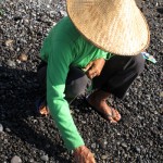 woman collecting small pebbles