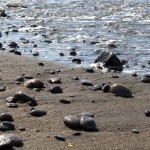 Pantai Saba, beach where black pebbles come from